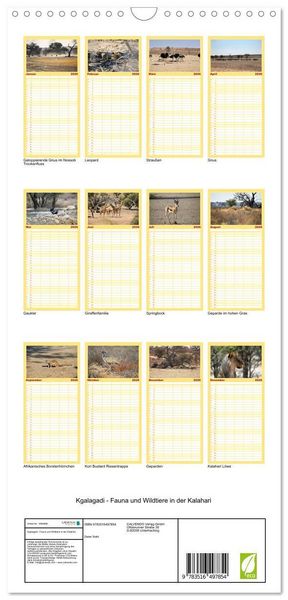 Produktbild: Familienplaner 2026 - Kgalagadi - Fauna und Wildtiere in der Kalahari mit 5 Spalten (Wandkalender, 21 x 45 cm) CALVENDO