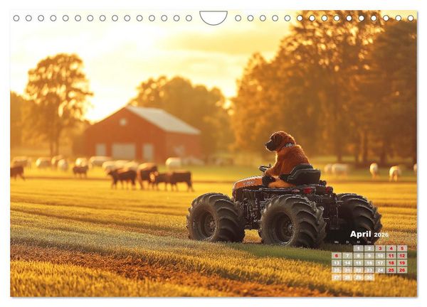 Produktbild: S&uuml;&szlig;e Hunde cruisen - durch das Jahr mit dem Hundekalender (Wandkalender 2026 DIN A4 quer), CALVENDO Monatskalender