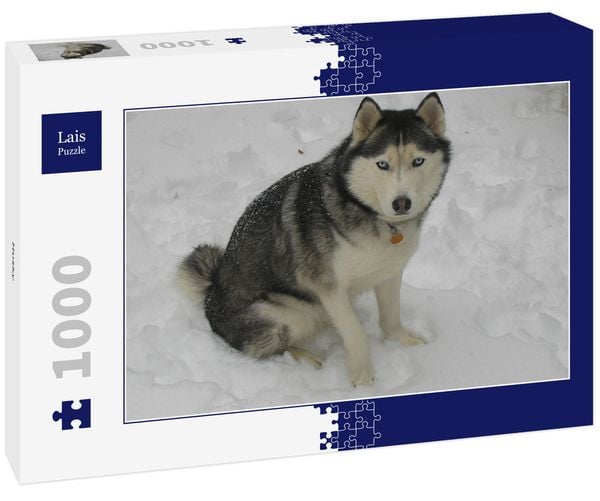 Produktbild: Lais Puzzle Husky 1000 Teile