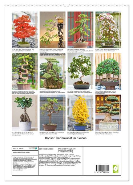 Produktbild: Bonsai: Gartenkunst im Kleinen (hochwertiger Premium Wandkalender 2026 DIN A2 hoch), Kunstdruck in Hochglanz