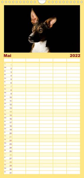 Produktbild: Familienplaner Bunte Pfoten (Wandkalender 2022 , 21 cm x 45 cm, hoch)