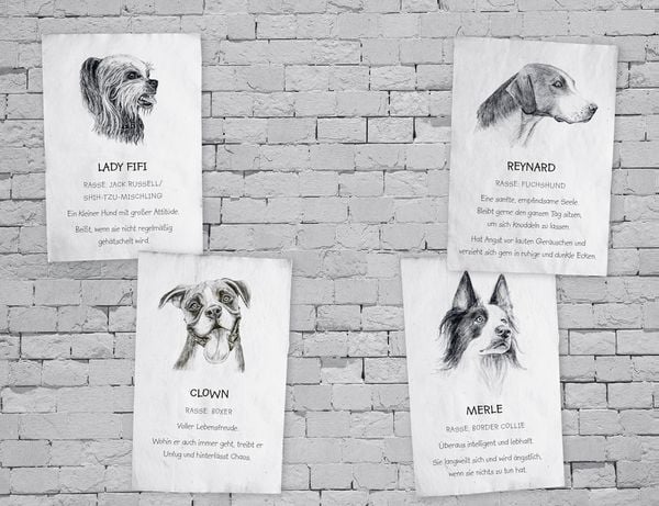 Produktbild: Buddy &ndash; Mein Leben als Stra&szlig;enhund