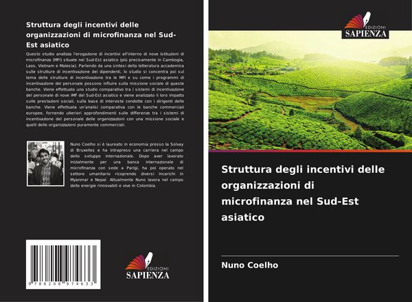 Produktbild: Struttura degli incentivi delle organizzazioni di microfinanza nel Sud-Est asiatico