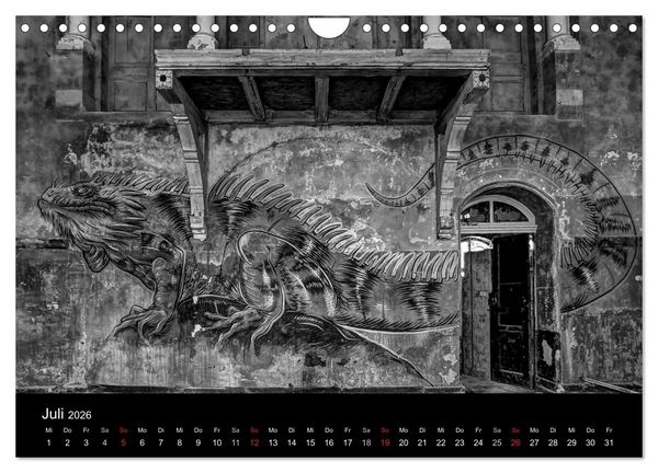 Produktbild: lost beauty (Wandkalender 2026 DIN A4 quer), CALVENDO Monatskalender