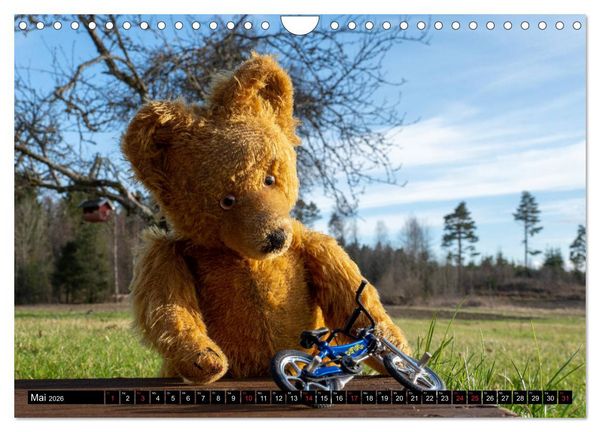Produktbild: Neue Abenteuer von Teddy Basse (Wandkalender 2026 DIN A4 quer), CALVENDO Monatskalender