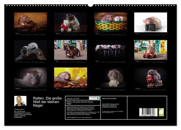 Produktbild: Ratten. Die gro&szlig;e Welt der kleinen Nager (hochwertiger Premium Wandkalender 2026 DIN A2 quer), Kunstdruck in Hochglanz