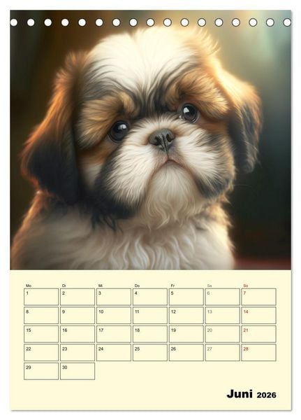 Produktbild: Shih Tzu Alarm. Gl&uuml;ckliche Wuschelk&ouml;pfe (Tischkalender 2026 DIN A5 hoch), CALVENDO Monatskalender