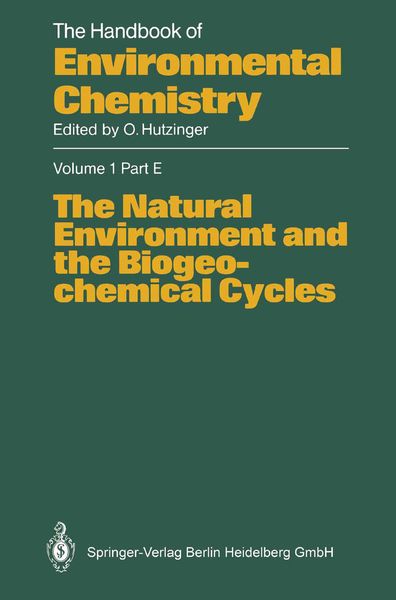 Produktbild: The Natural Environment and the Biogeochemical Cycles