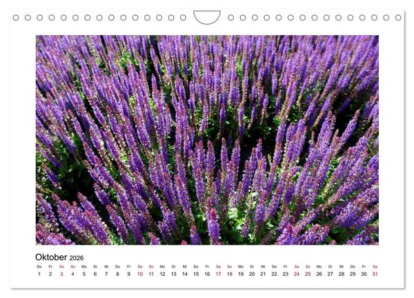 Produktbild: Garten-Idylle 2026 (Wandkalender 2026 DIN A4 quer), CALVENDO Monatskalender