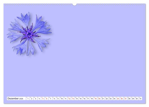 Produktbild: DIY POESIE - BASTELKALENDER (Wandkalender 2026 DIN A2 quer), CALVENDO Monatskalender