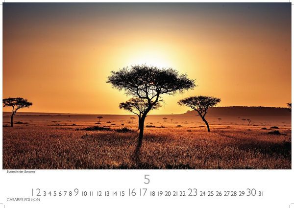 Produktbild: Kenia & Serengheti Kalender 2027 &ndash; Wandkalender | Fotokalender Afrika 24x35cm &ndash; Wundersch&ouml;ne Tierkalender- und Naturschutzfotos.