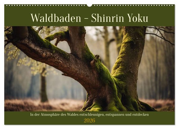 Waldbaden - Shinrin Yoku (Wandkalender 2026 DIN A2 quer), CALVENDO Monatskalender