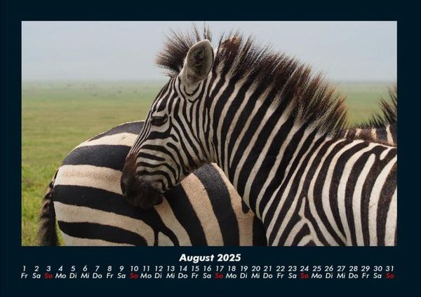 Produktbild: Zebrazauber 2025 Fotokalender DIN A4