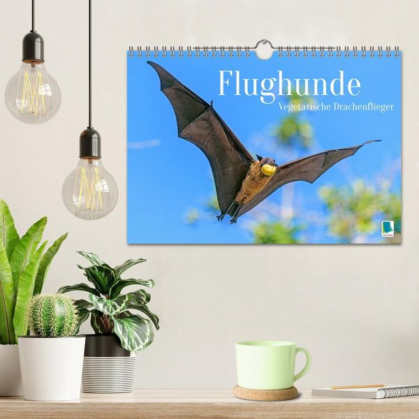 Produktbild: Flughunde: Vegetarische Drachenflieger (Wandkalender 2026 DIN A4 quer), CALVENDO Monatskalender