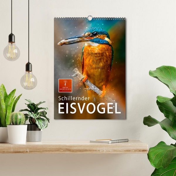 Produktbild: Schillernder Eisvogel (Wandkalender 2026 DIN A3 hoch), CALVENDO Monatskalender