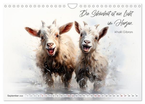 Produktbild: MOTIVATION Spr&uuml;che mit s&uuml;&szlig;en Tierkindern (Wandkalender 2026 DIN A4 quer), CALVENDO Monatskalender