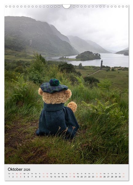 Produktbild: Travelling Teddy liebt es Bunt (Wandkalender 2026 DIN A3 hoch), CALVENDO Monatskalender