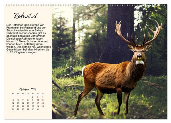 Produktbild: Majest&auml;tische Horntr&auml;ger (hochwertiger Premium Wandkalender 2026 DIN A2 quer), Kunstdruck in Hochglanz