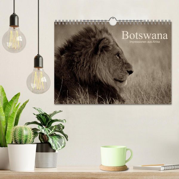 Produktbild: Botswana &ndash; Impressionen aus Afrika (Wandkalender 2026 DIN A4 quer), CALVENDO Monatskalender