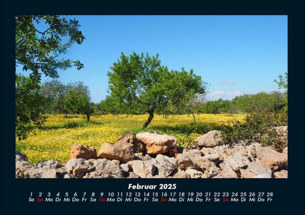 Produktbild: B&auml;ume 2025 Fotokalender DIN A4