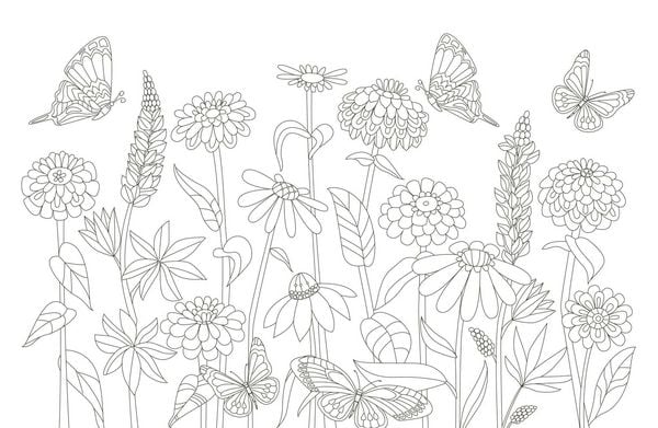 Produktbild: 50 cozy Karten zum Ausmalen &ndash; Blumentraum