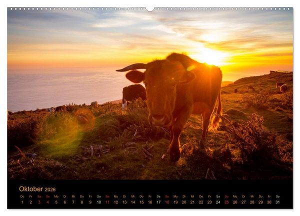 Produktbild: Madeira Impressionen (Wandkalender 2026 DIN A2 quer), CALVENDO Monatskalender