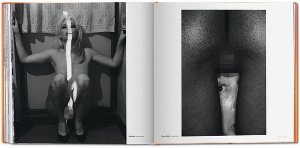 Produktbild: The Big Book of Pussy