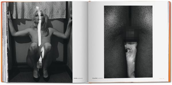 Produktbild: The Big Book of Pussy