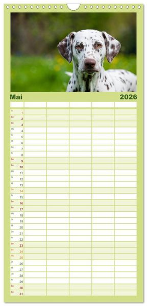 Produktbild: Familienplaner 2026 - Dalmatiner mit 5 Spalten (Wandkalender, 21 x 45 cm) CALVENDO