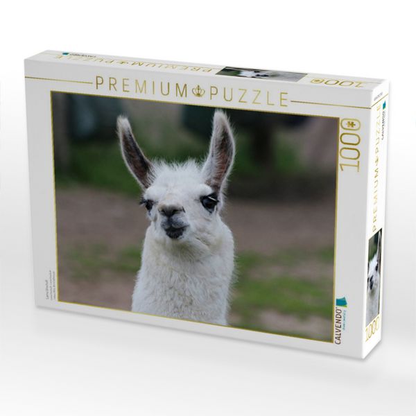 Produktbild: CALVENDO Puzzle Lama Unschult | 1000 Teile Lege-Gr&ouml;&szlig;e 64x48cm Foto-Puzzle f&uuml;r gl&uuml;ckliche Stunden
