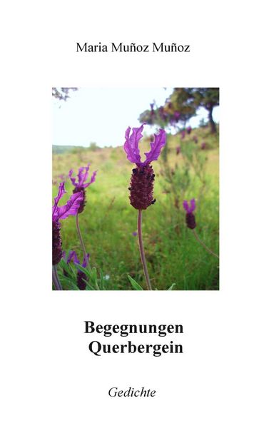 Produktbild: Begegnungen Querbergein