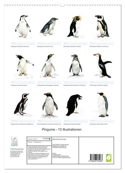 Produktbild: Pinguine - 13 Illustrationen (hochwertiger Premium Wandkalender 2026 DIN A2 hoch), Kunstdruck in Hochglanz