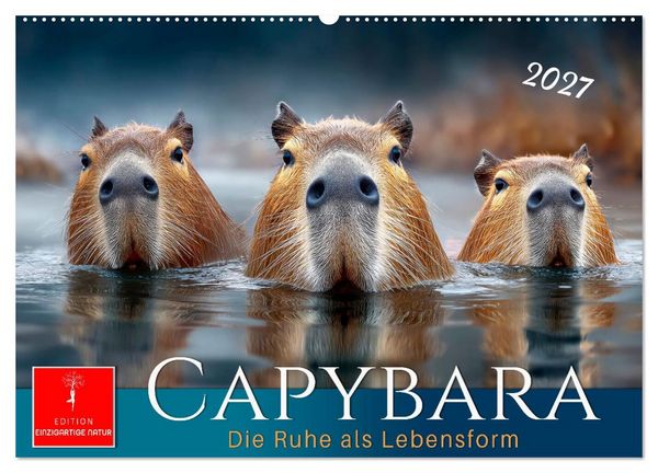 Produktbild: Capybara - die Ruhe als Lebensform (Wandkalender 2027 DIN A2 quer), CALVENDO Monatskalender