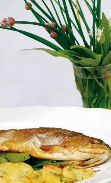 Produktbild: Tiroler B&auml;uerinnen kochen