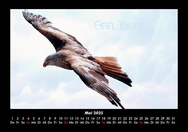 Produktbild: Adler 2025 Fotokalender DIN A3