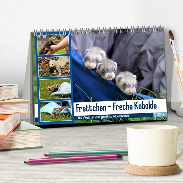 Produktbild: Frettchen - Freche Kobolde (Tischkalender 2026 DIN A5 quer), CALVENDO Monatskalender