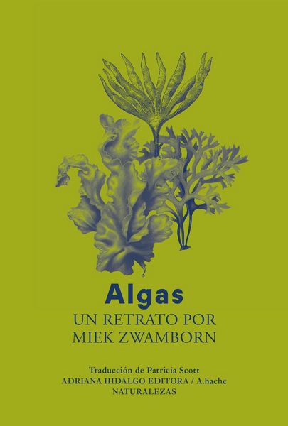 Produktbild: Algas