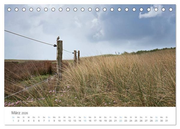 Produktbild: Juist - mein T&ouml;werland (Tischkalender 2026 DIN A5 quer), CALVENDO Monatskalender