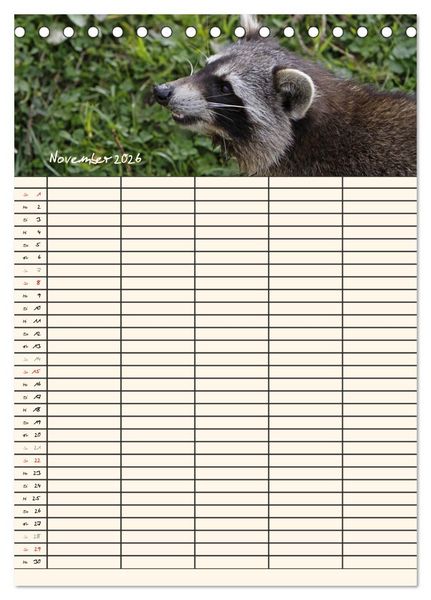 Produktbild: Waschb&auml;ren Familienplaner (Tischkalender 2026 DIN A5 hoch), CALVENDO Monatskalender