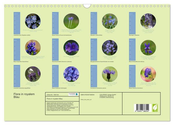 Produktbild: Flora in royalem Blau (Wandkalender 2026 DIN A3 quer), CALVENDO Monatskalender