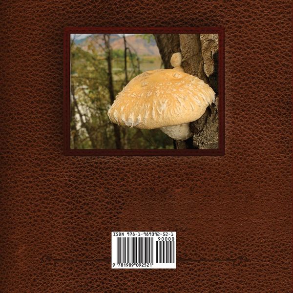 Produktbild: Like Mushrooms