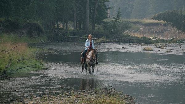 Produktbild: Heartland - Paradies f&uuml;r Pferde: Staffel 9.1 (Episode 1-9) [3 DVDs]