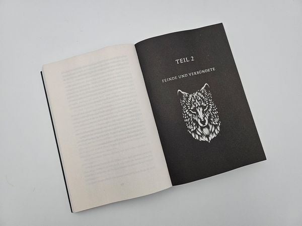 Produktbild: The Curse of Saints