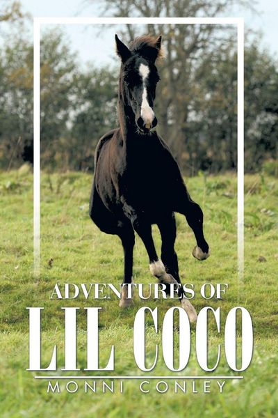 Produktbild: Adventures of Lil Coco