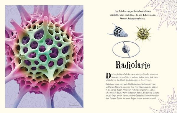 Produktbild: Wundervolle Welt der Natur