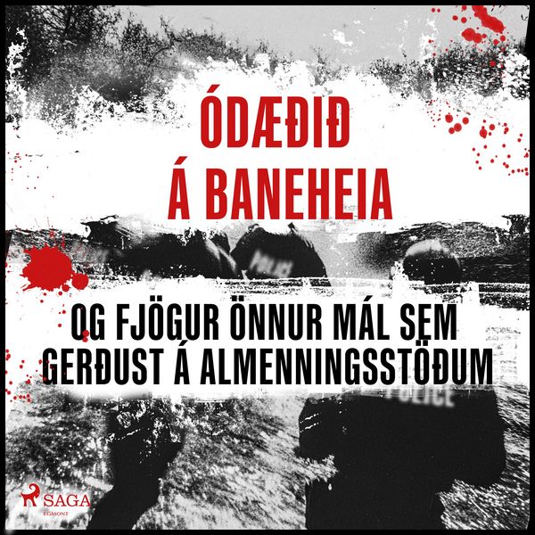 Produktbild: &Oacute;d&aelig;&eth;i&eth; &aacute; Baneheia og fj&ouml;gur &ouml;nnur m&aacute;l sem ger&eth;ust &aacute; almenningsst&ouml;&eth;um
