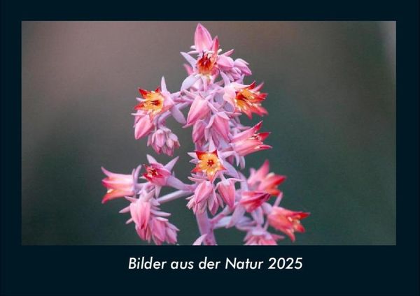 Bilder aus der Natur 2025 Fotokalender DIN A4