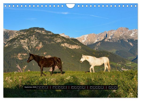 Produktbild: Dolomiten - Latemar und Rosengarten (Wandkalender 2026 DIN A4 quer), CALVENDO Monatskalender