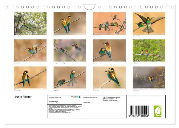 Produktbild: Bunte Flieger (Wandkalender 2026 DIN A4 quer), CALVENDO Monatskalender