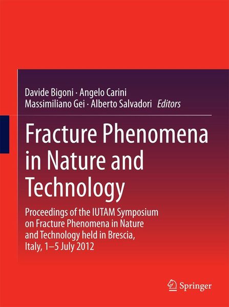 Produktbild: Fracture Phenomena in Nature and Technology